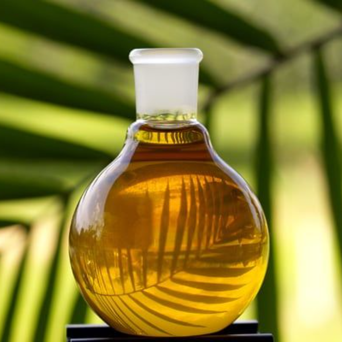 Crude / Refined palm kernel olein