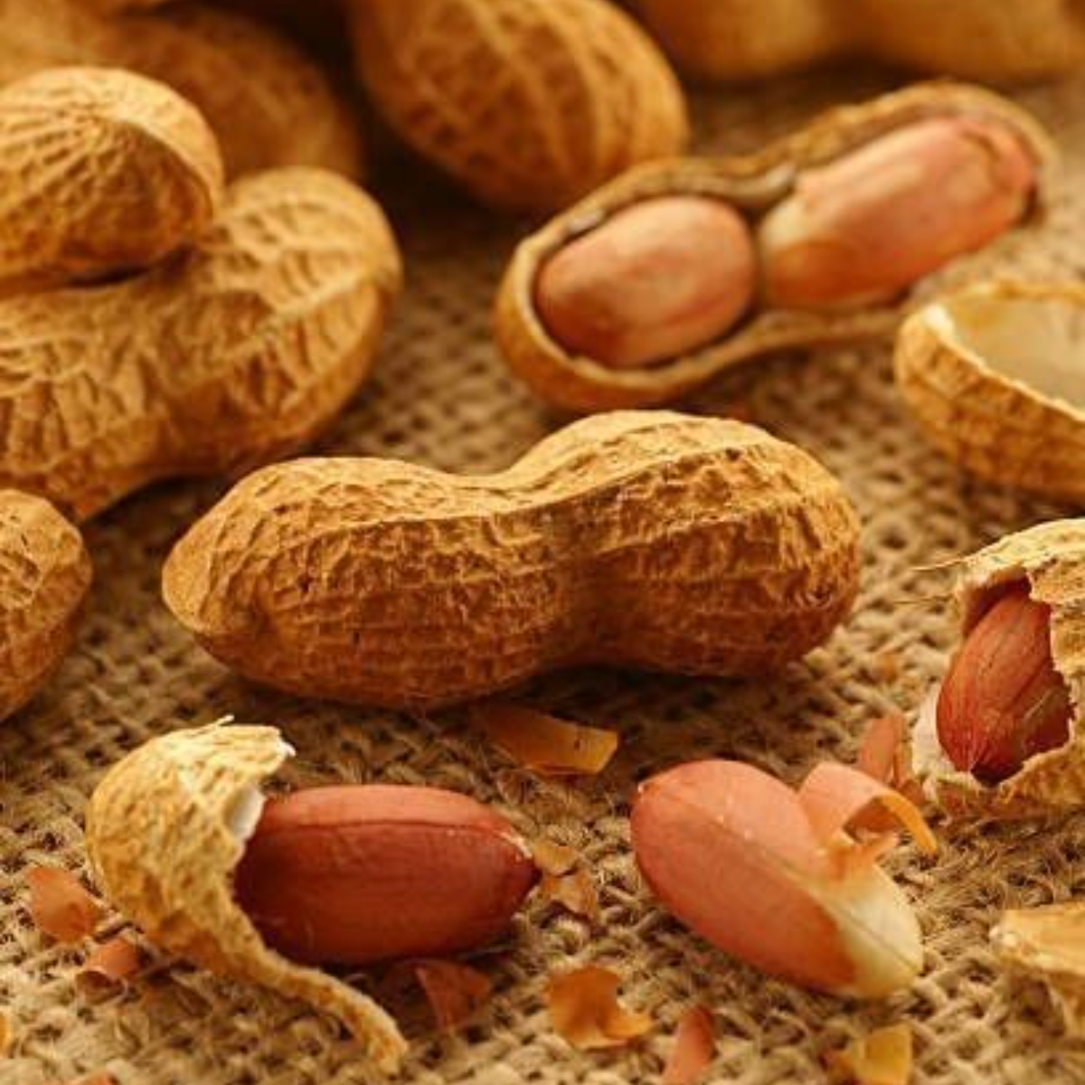 Peanut