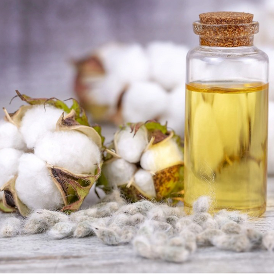 Cotton seed oil