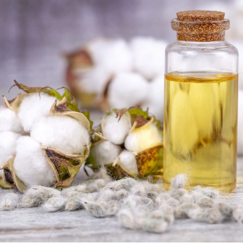 Cotton seed oil