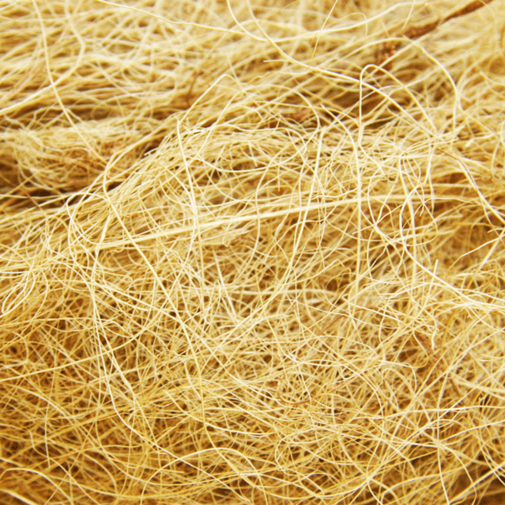 Palmfibre