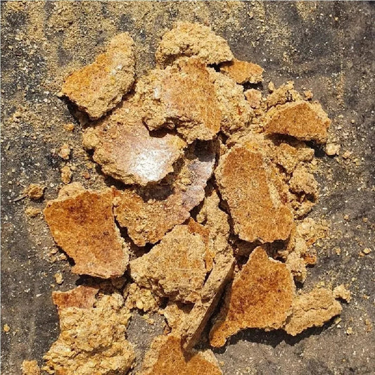 Peanut meal/ Groundnut oil cake