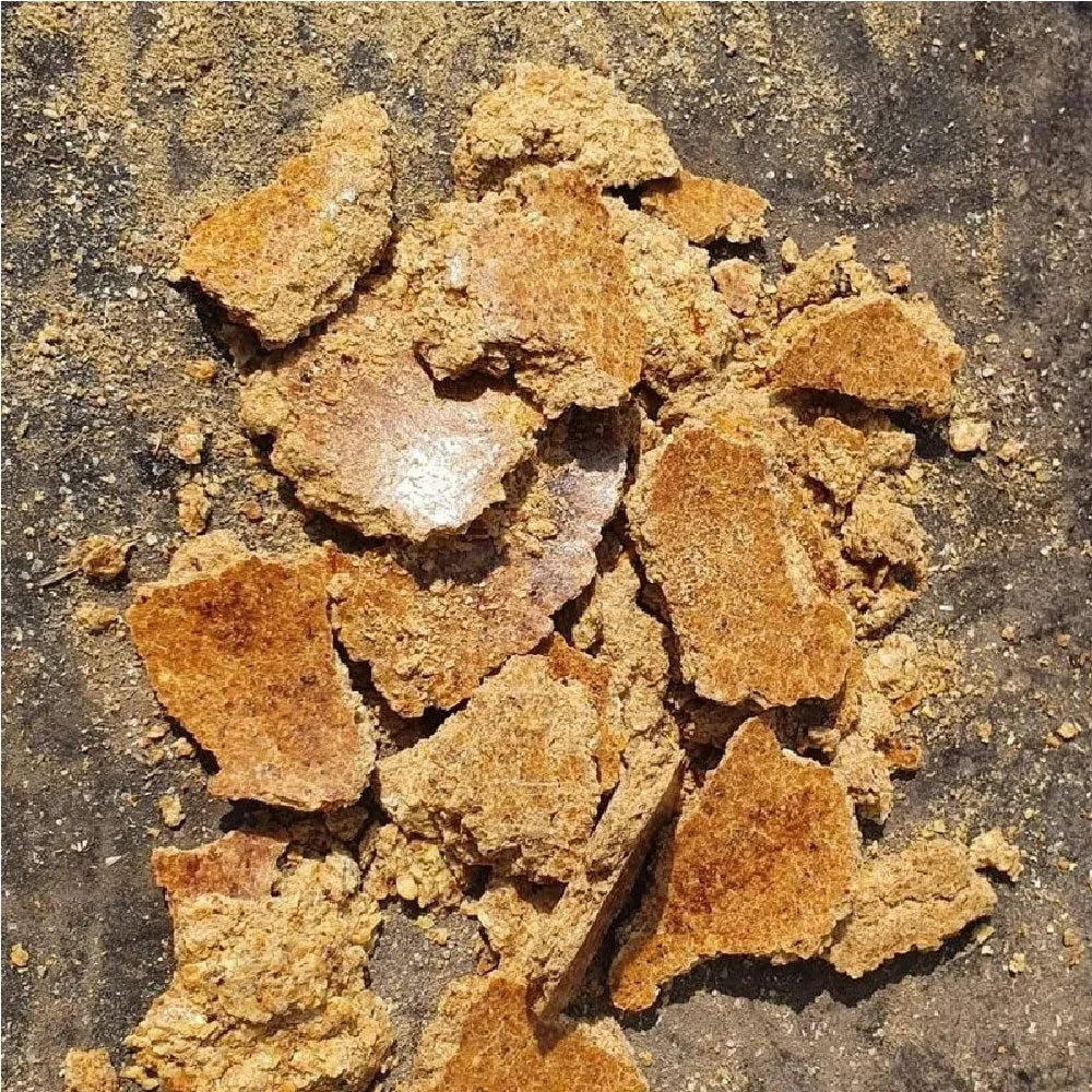 Peanut meal/ Groundnut oil cake